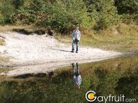 Guy walks in the forest and jerks off his dick under a tree