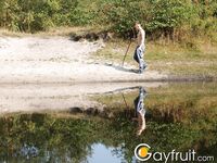 Guy walks in the forest and jerks off his dick under a tree