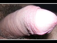 I love Boys (Part 22)