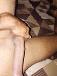 Indian Cock