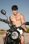 trillo_pG