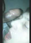 best big black cock i suck with cum face