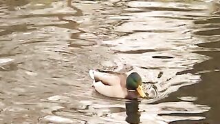 Hot scene in the park with two cute guys