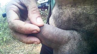 pica  mole querendo uma atras.