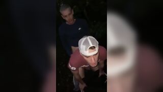 Threesome with sexy twinks