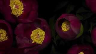 Sex sometimes becomes true passion