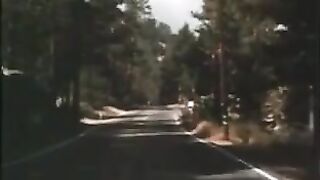 Blondes do it best vintage