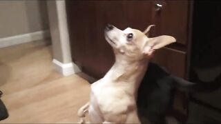 Twink Gay Porn Videos 057