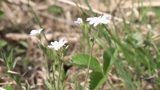 Awesome cute guys fucking outdoor 061