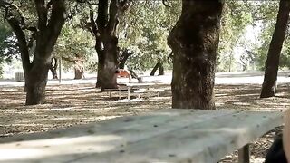 Awesome cute guys fucking outdoor 091