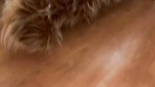 Two gay boys fucking and cumming 095
